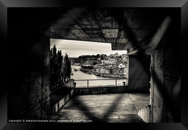 Porto sneak peek Framed Print by Natacha Guevara