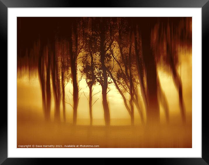 Morning Tree Silhouttes Framed Mounted Print by Dave Harnetty