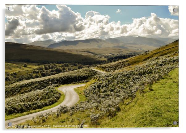 Winding Road-Glen Roy,Highlands of Scotland Acrylic by Dave Harnetty
