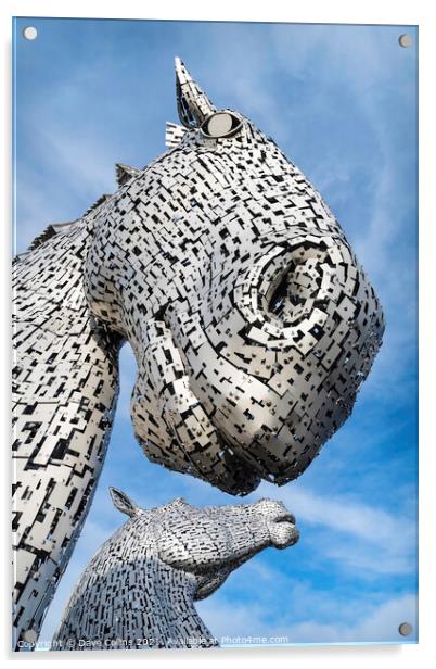 Kelpies, Falkirk, Scotland Acrylic by Dave Collins