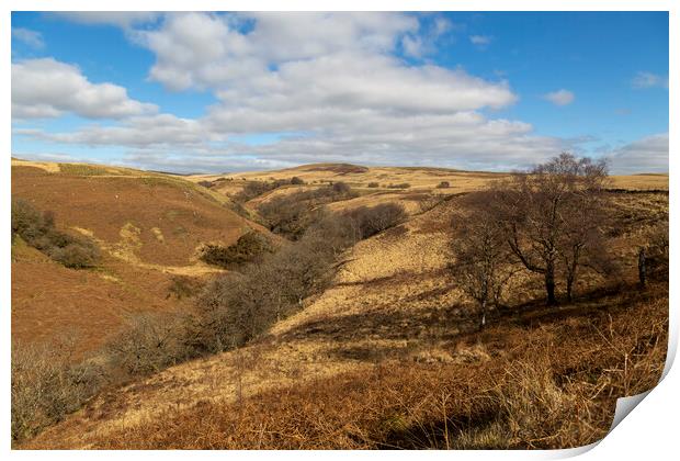 The Afon Twrch valley Print by Leighton Collins