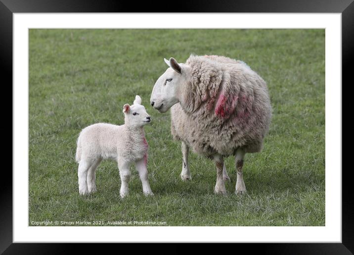 A Mothers Love Framed Mounted Print by Simon Marlow