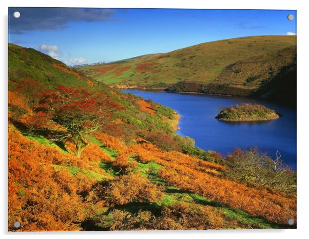 Meldon Reservoir on Dartmoor Acrylic by Darren Galpin