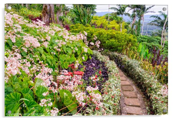 The Summit Gardens - Port Vila Acrylic by Laszlo Konya