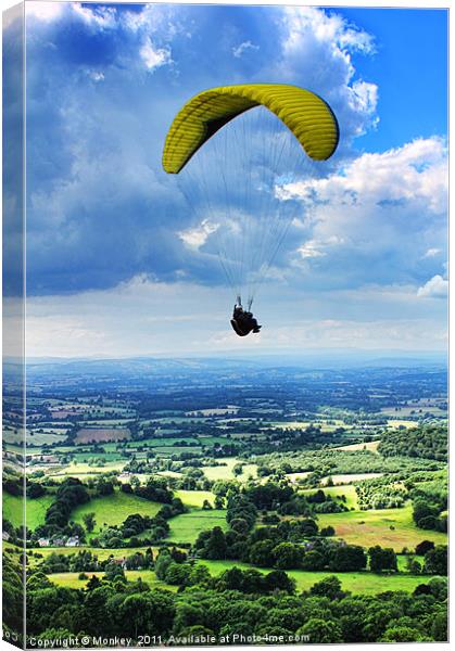 High Flyer Canvas Print by Anthony Michael 