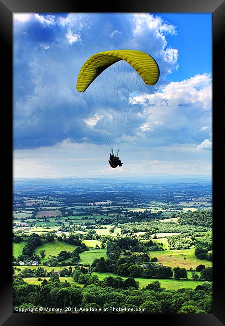 High Flyer Framed Print by Anthony Michael 
