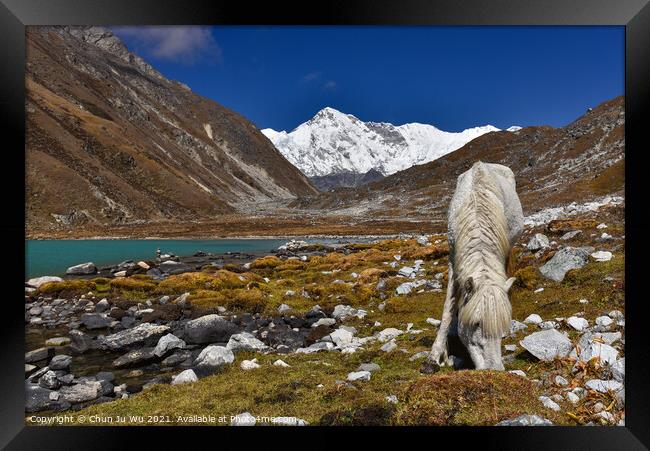 A white horse by Gokyo lake surrounded by snow mountains of Himalayas in Nepal Framed Print by Chun Ju Wu