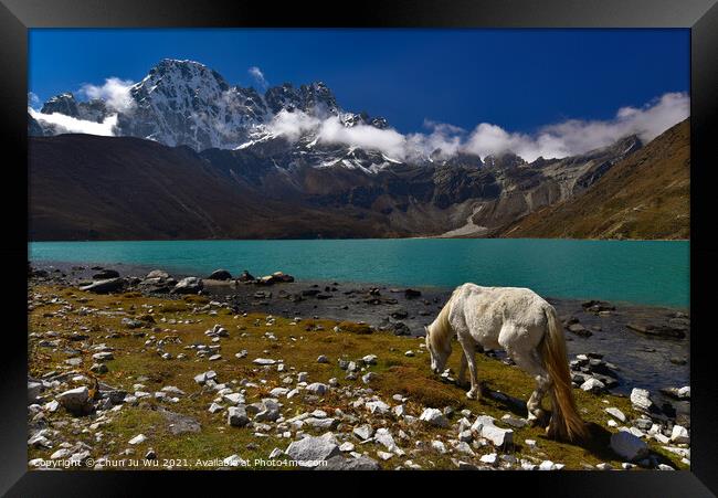 A white horse by Gokyo lake surrounded by snow mountains of Himalayas in Nepal Framed Print by Chun Ju Wu