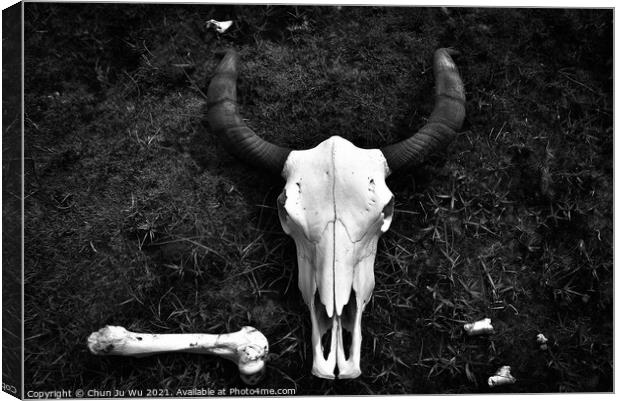 Yak Skull on the ground (black & white) Canvas Print by Chun Ju Wu