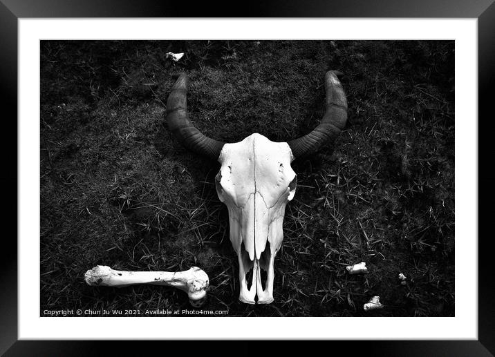 Yak Skull on the ground (black & white) Framed Mounted Print by Chun Ju Wu