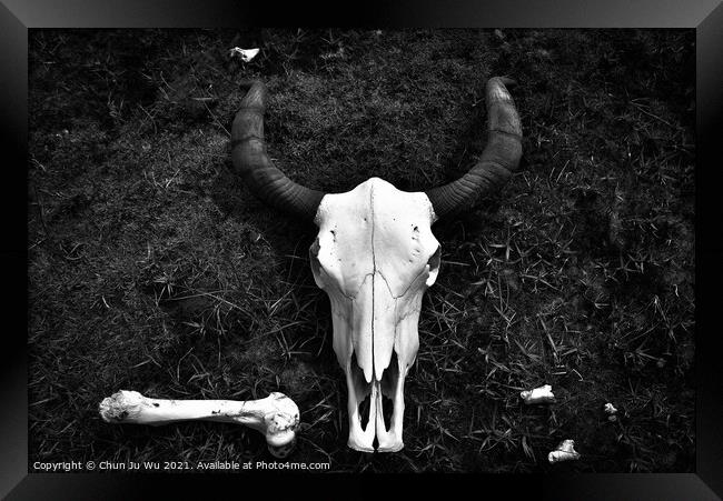 Yak Skull on the ground (black & white) Framed Print by Chun Ju Wu