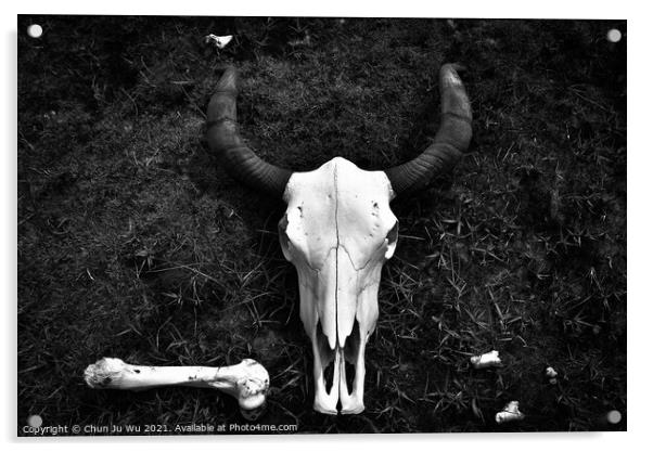 Yak Skull on the ground (black & white) Acrylic by Chun Ju Wu