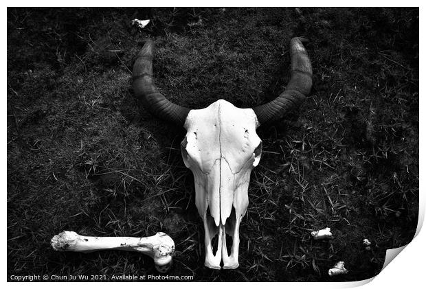 Yak Skull on the ground (black & white) Print by Chun Ju Wu