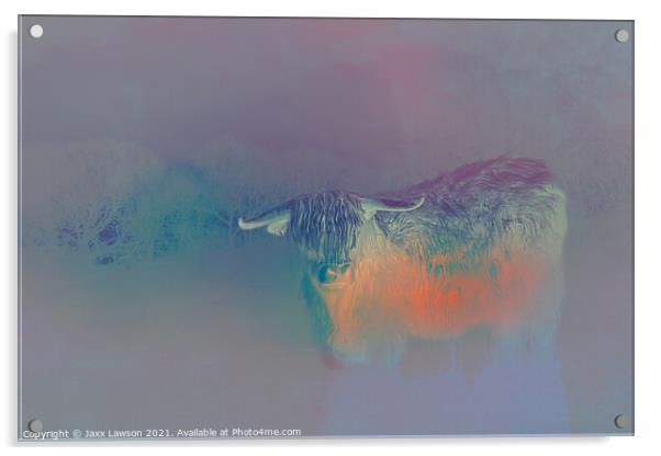 Modernist Highland Cow Acrylic by Jaxx Lawson