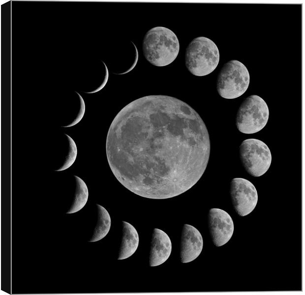 Moon Phase Composite Canvas Print by mark humpage