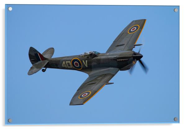 Spitfire TE311 Acrylic by J Biggadike