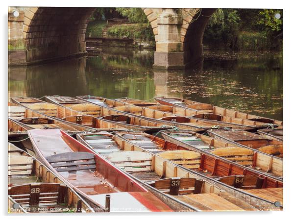Moored Punts At 'The Head of the River', Oxford Acrylic by Peter Greenway