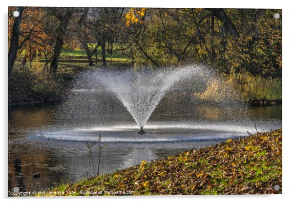 Newsham Park Liverpool Fountain Acrylic by Phil Longfoot