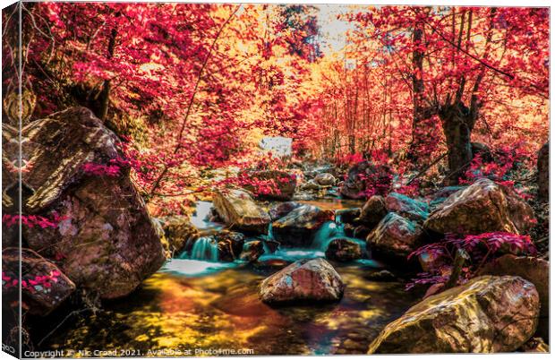 Woodland River Infrared Canvas Print by Nic Croad