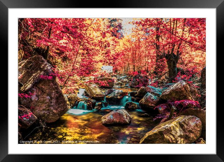 Woodland River Infrared Framed Mounted Print by Nic Croad