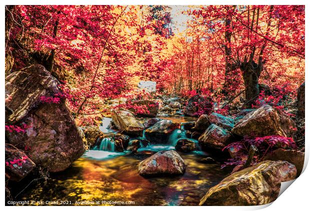 Woodland River Infrared Print by Nic Croad