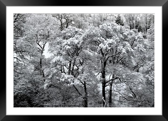 Wythop Valley Winter Wonderland, The Lake District Framed Mounted Print by Peter Wiseman