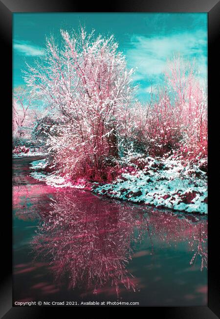 Snow covered tree reflected in water Framed Print by Nic Croad