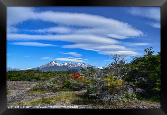 Torres Del Paine National Park in Chile Framed Print by Tracey Turner