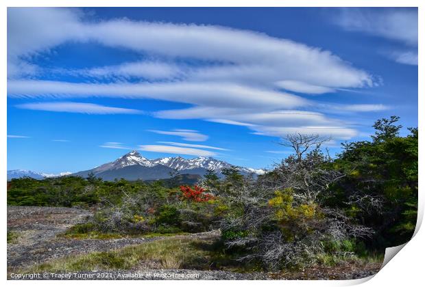 Torres Del Paine National Park in Chile Print by Tracey Turner