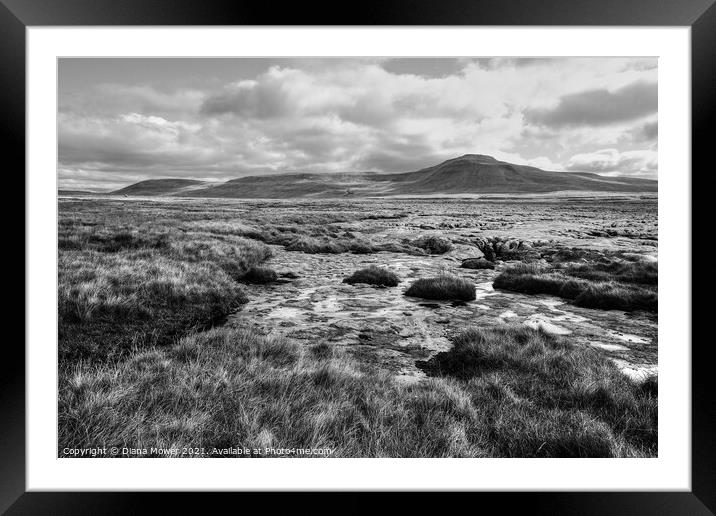 Ingleborough Yorkshire Dales Monochrome Framed Mounted Print by Diana Mower