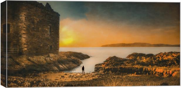 Boy In Silhouette In Portencross Sunset Canvas Print by Tylie Duff Photo Art