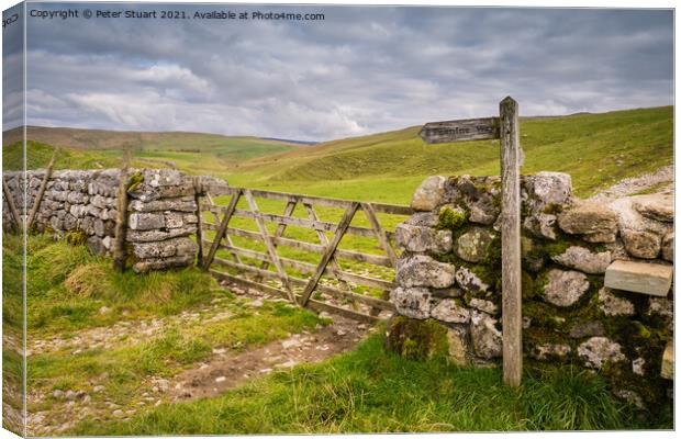 Along the Pennine Way to Fountains Fell Canvas Print by Peter Stuart