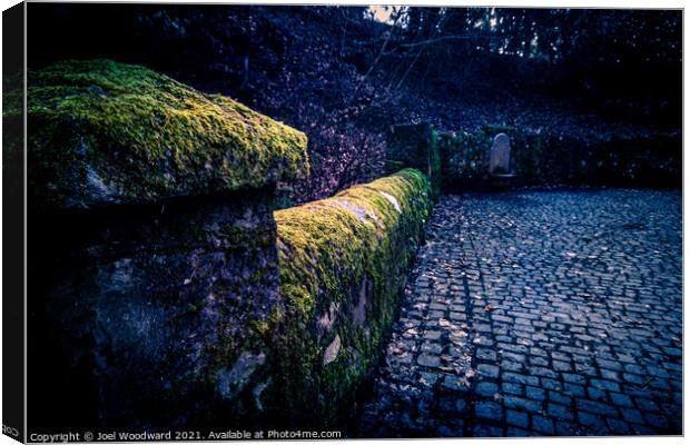 Moss covered walls Rock Park Canvas Print by Joel Woodward