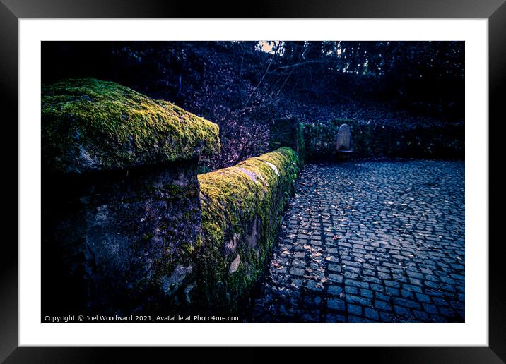 Moss covered walls Rock Park Framed Mounted Print by Joel Woodward