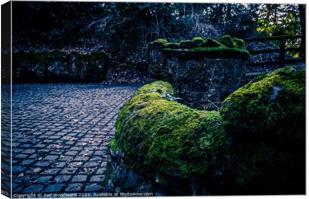 Moss Covered Walls Canvas Print by Joel Woodward