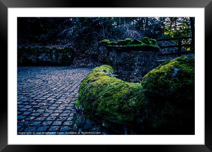 Moss Covered Walls Framed Mounted Print by Joel Woodward