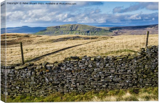 Fountains Fell from Malham Tarn Canvas Print by Peter Stuart