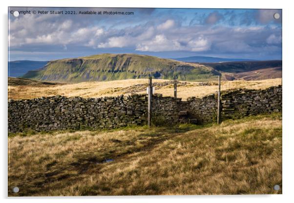 Fountains Fell from Malham Tarn Acrylic by Peter Stuart