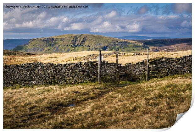 Fountains Fell from Malham Tarn Print by Peter Stuart