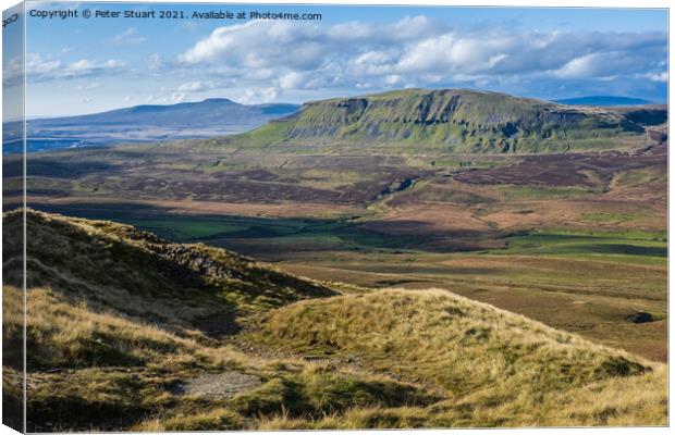 Pen-y-ghent from Fountains Fell Canvas Print by Peter Stuart