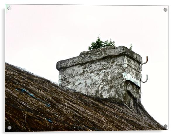 Weeds in the chimney Acrylic by Stephanie Moore
