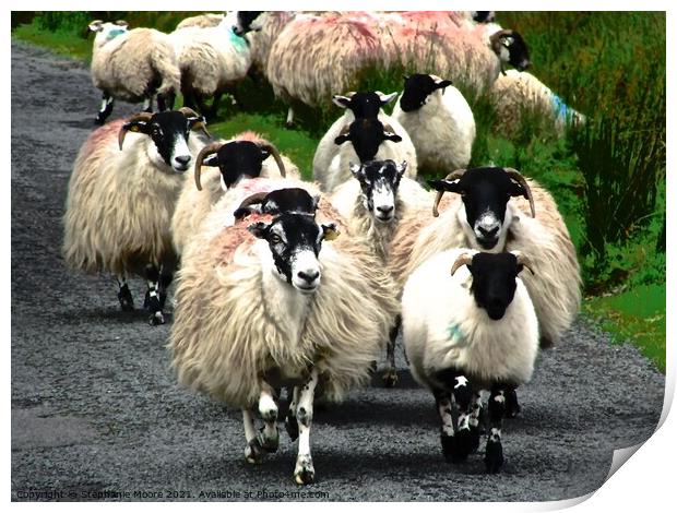 Flock of sheep on a country road Print by Stephanie Moore