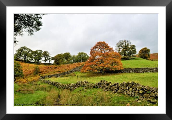 Autumn colours, St. John's in the Vale,  Keswick Framed Mounted Print by Peter Wiseman