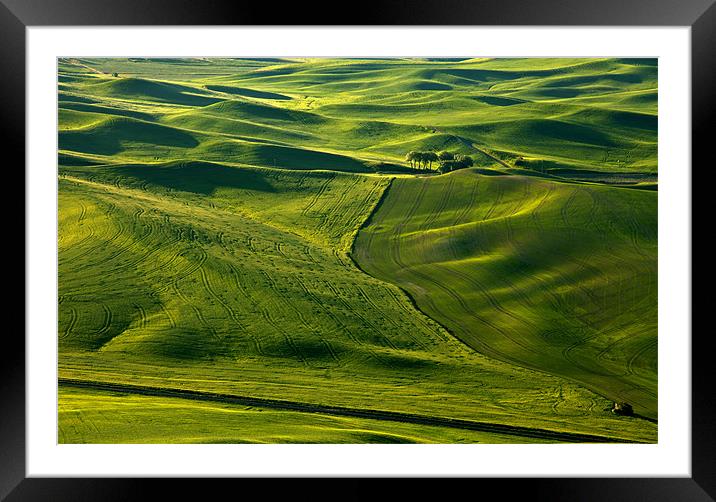 Palouse Patterns Framed Mounted Print by Mike Dawson