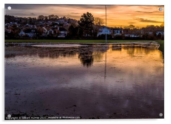 Richmond Park Flooded Fields  Acrylic by Gilbert Hurree