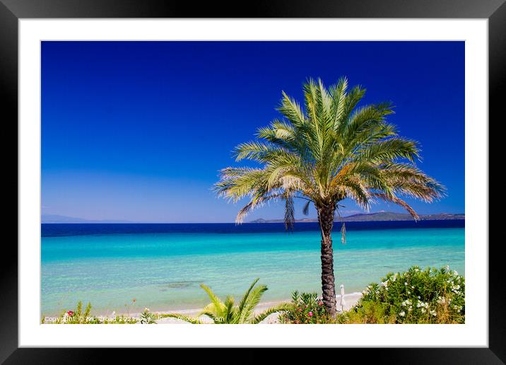 Palm Tree on a white sand beach Framed Mounted Print by Nic Croad