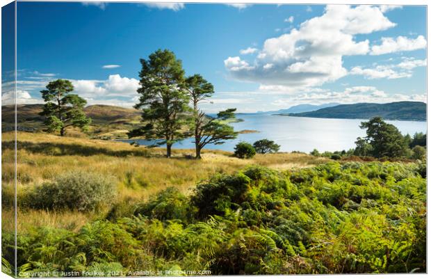 Kyles of Bute, Isle of Bute, Scotland Canvas Print by Justin Foulkes