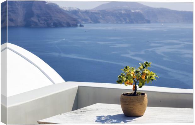 Santorini, Greece: A pot with flower or plant and a plate on a wooden table against beautiful sea ocean background Canvas Print by Arpan Bhatia