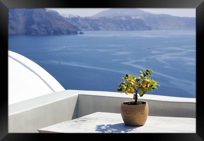 Santorini, Greece: A pot with flower or plant and a plate on a wooden table against beautiful sea ocean background Framed Print by Arpan Bhatia
