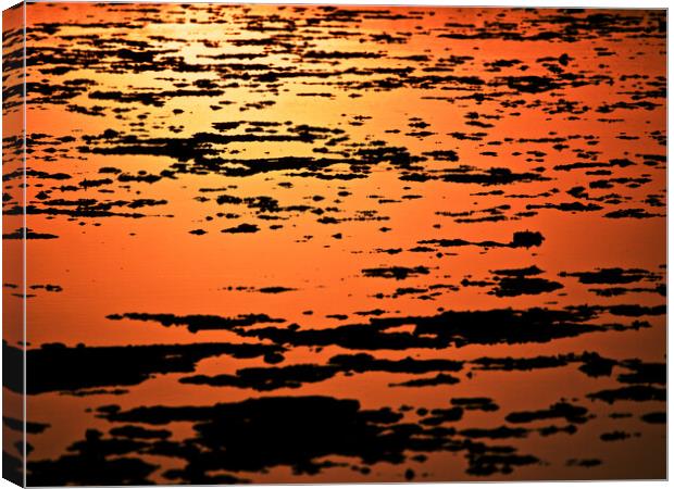 Golden Sunset over water Canvas Print by mark humpage